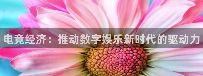 火博电竞app官网网站：电竞经济：推动数字娱乐新时代的驱动力