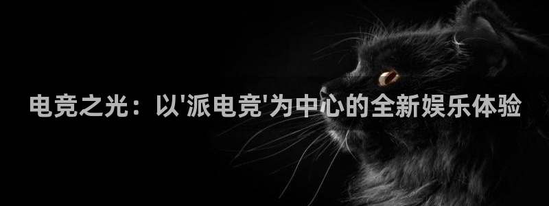 火博电竞网站：电竞之光：以\'派电竞\'为中心的全新娱乐体验