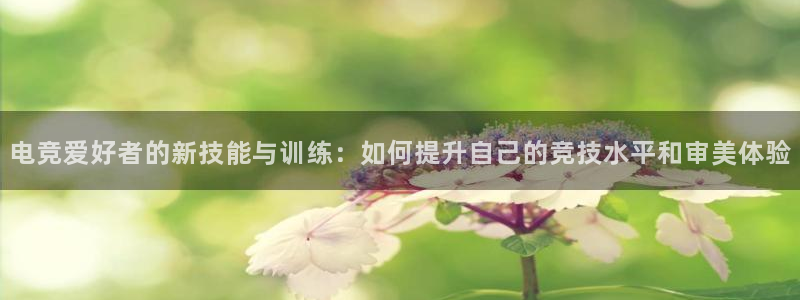 火博电竞官网入口：电竞爱好者的新技能与训练：如何提升自己的竞技水平和审美体验