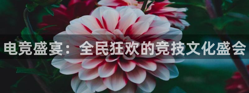 火博电竞官网入口：电竞盛宴：全民狂欢的竞技文化盛会