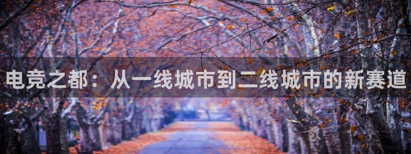 火博电竞网站：电竞之都：从一线城市到二线城市的新赛道