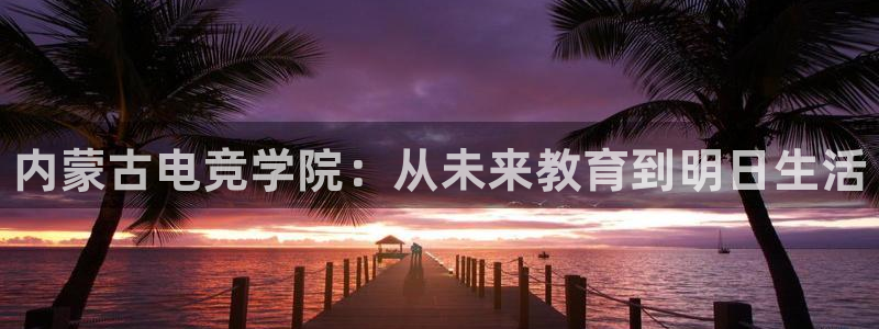 火博电竞app官网网站：内蒙古电竞学院：从未来教育到明日生活