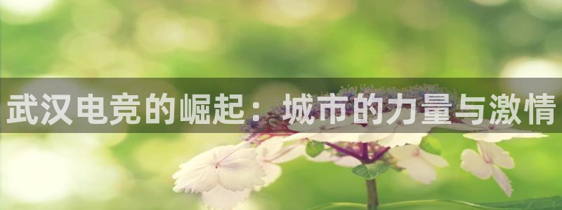 火博电竞网站：武汉电竞的崛起：城市的力量与激情