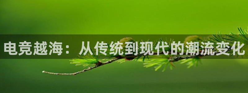 火博电竞网站：电竞越海：从传统到现代的潮流变化