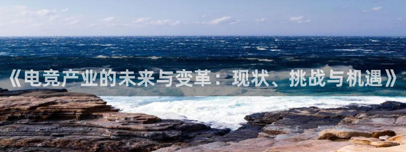 火博电竞网站：《电竞产业的未来与变革：现状、挑战与机遇》