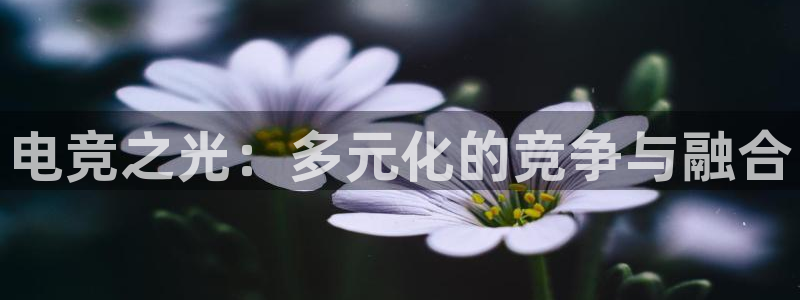 火博电竞app官网网站：电竞之光：多元化的竞争与融合