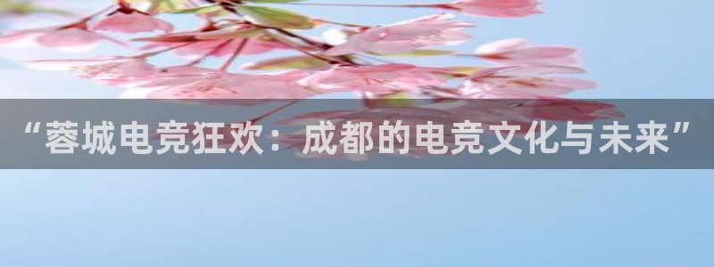 火博电竞官网入口：“蓉城电竞狂欢：成都的电竞文化与未来”