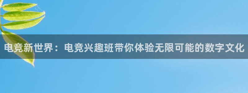 火博电竞官网入口：电竞新世界：电竞兴趣班带你体验无限可能的数字文化