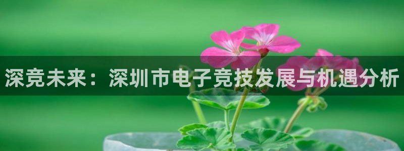 火博电竞app官网网站：深竞未来：深圳市电子竞技发展与机遇分析