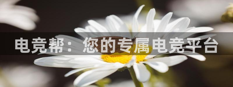 火博电竞app官网网站：电竞帮：您的专属电竞平台