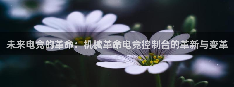火博电竞网站：未来电竞的革命：机械革命电竞控制台的革新与变革
