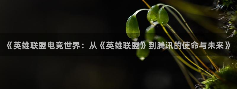 火博电竞：《英雄联盟电竞世界：从《英雄联盟》到腾讯的使命与未来》