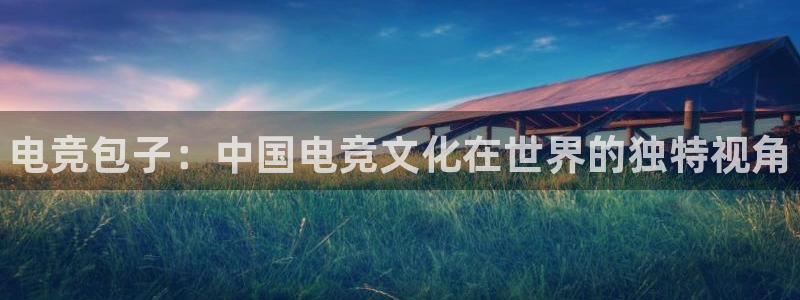 火博电竞网站：电竞包子：中国电竞文化在世界的独特视角
