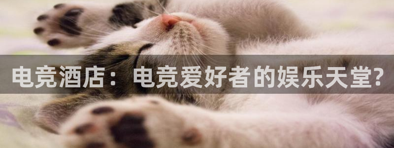 火博电竞网站：电竞酒店：电竞爱好者的娱乐天堂?