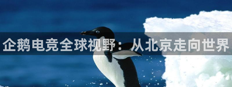 火博电竞：企鹅电竞全球视野：从北京走向世界