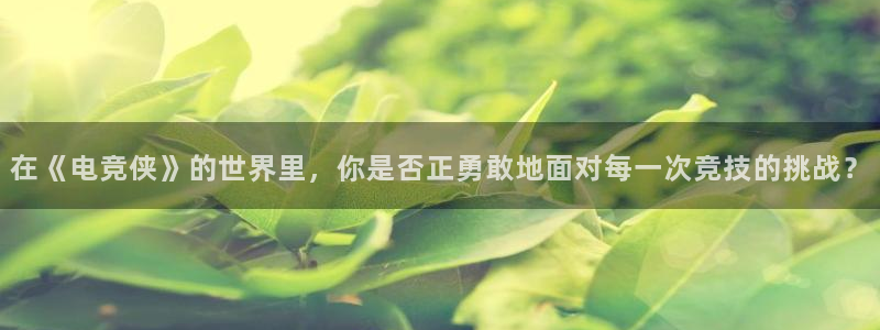 火博电竞网站：在《电竞侠》的世界里，你是否正勇敢地面对每一次竞技的挑战？