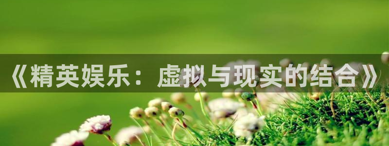 火博电竞官网入口：《精英娱乐：虚拟与现实的结合》
