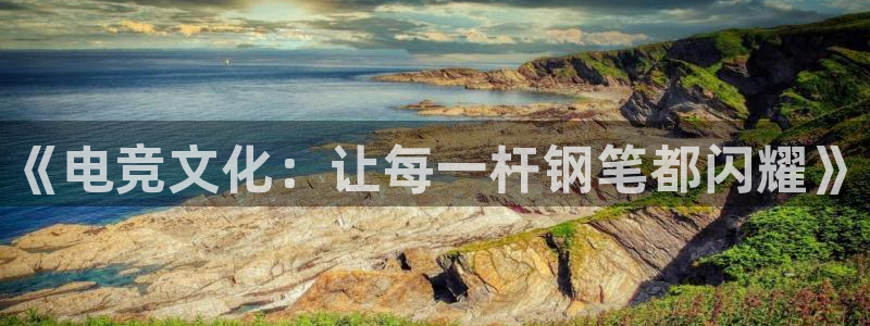 火博电竞app官网网站：《电竞文化：让每一杆钢笔都闪耀》