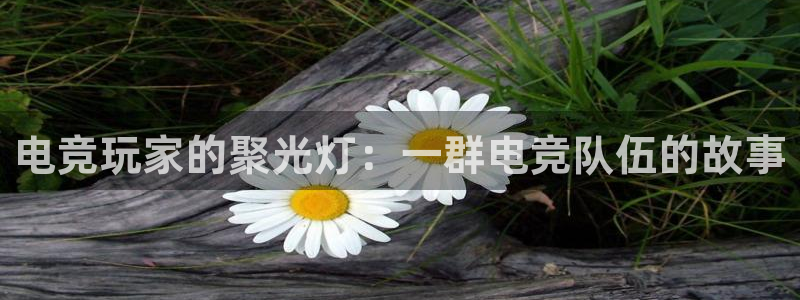 火博电竞官网入口：电竞玩家的聚光灯：一群电竞队伍的故事