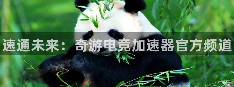 火博电竞app官网网站：速通未来：奇游电竞加速器官方频道