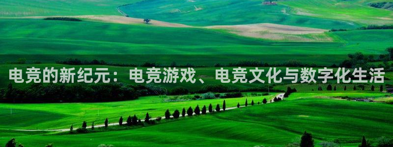 火博电竞官网入口：电竞的新纪元：电竞游戏、电竞文化与数字化生活