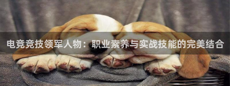 火博电竞：电竞竞技领军人物：职业素养与实战技能的完美结合