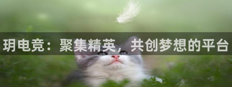 火博电竞官网入口：玥电竞：聚集精英，共创梦想的平台