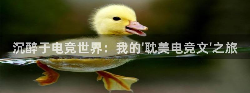 火博电竞官网入口：沉醉于电竞世界：我的\'耽美电竞文\'之旅