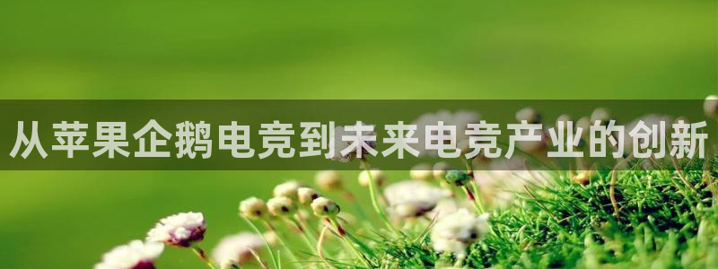 火博电竞：从苹果企鹅电竞到未来电竞产业的创新