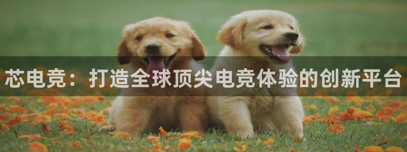 火博电竞网站：芯电竞：打造全球顶尖电竞体验的创新平台
