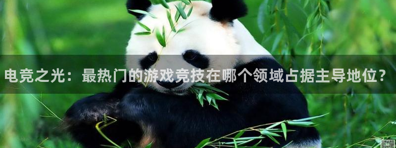 火博电竞官网入口：电竞之光：最热门的游戏竞技在哪个领域占据主导地位？