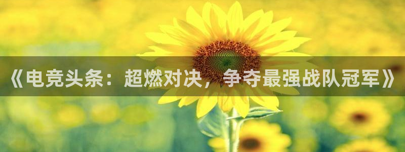 火博电竞app官网网站：《电竞头条：超燃对决，争夺最强战队冠军》