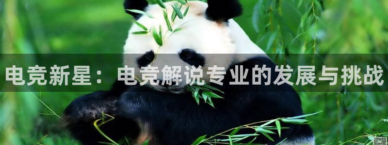 火博电竞官网入口：电竞新星：电竞解说专业的发展与挑战