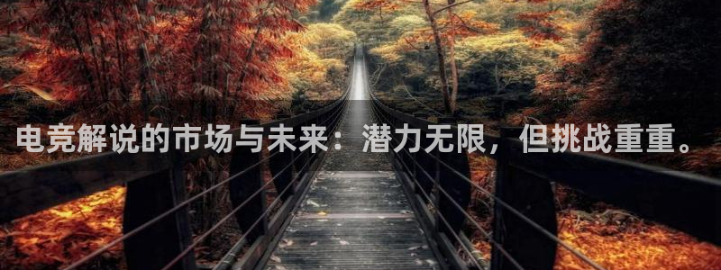 火博电竞app官网网站：电竞解说的市场与未来：潜力无限，但挑战重重。