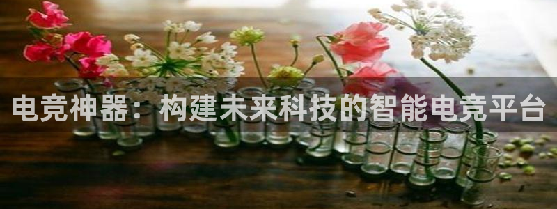 火博电竞app官网网站：电竞神器：构建未来科技的智能电竞平台