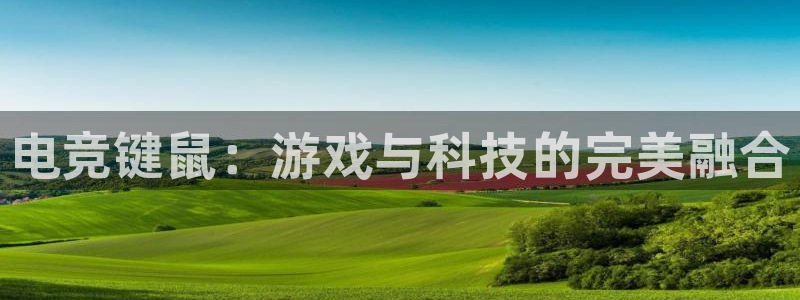 火博电竞网站