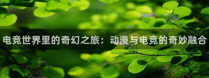 火博电竞网站：电竞世界里的奇幻之旅：动漫与电竞的奇妙融合