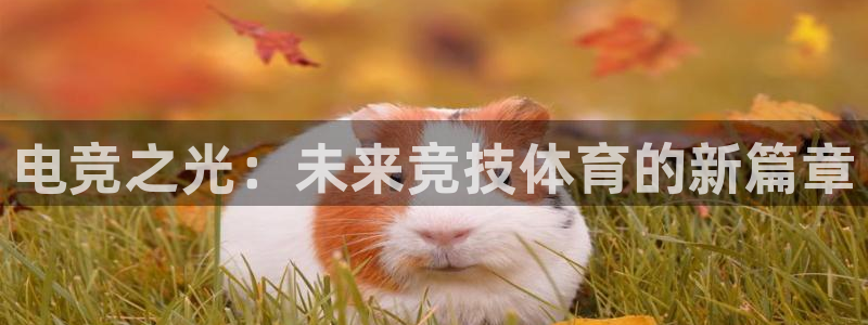 火博电竞：电竞之光：未来竞技体育的新篇章