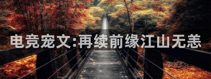 火博电竞：电竞宠文:再续前缘江山无恙