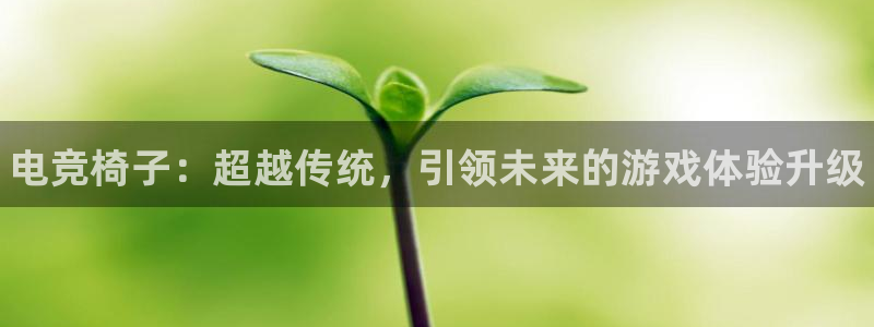 火博电竞网站：电竞椅子：超越传统，引领未来的游戏体验升级
