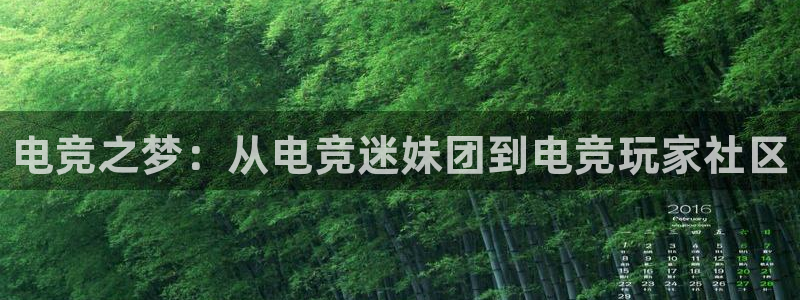 火博电竞：电竞之梦：从电竞迷妹团到电竞玩家社区