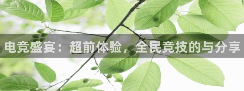 火博电竞网站：电竞盛宴：超前体验，全民竞技的与分享