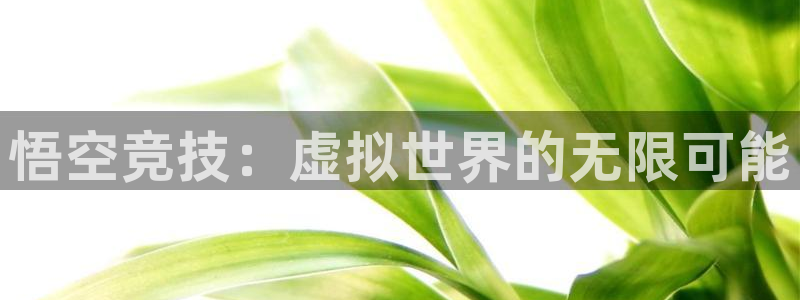 火博电竞app官网网站：悟空竞技：虚拟世界的无限可能