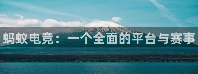 火博电竞app官网网站：蚂蚁电竞：一个全面的平台与赛事