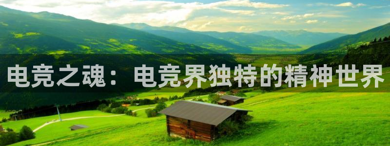 火博电竞：电竞之魂：电竞界独特的精神世界