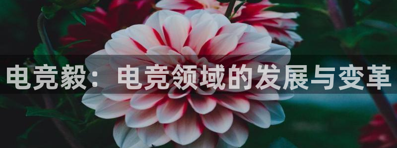 火博电竞app官网网站：电竞毅：电竞领域的发展与变革